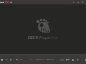 GOM Player Plus_v2.3.80.5345_中文版