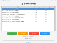 本站开启专用下载器欢迎测试