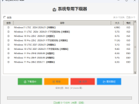 本站开启专用下载器欢迎测试
