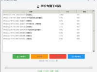 本站开启专用下载器欢迎测试
